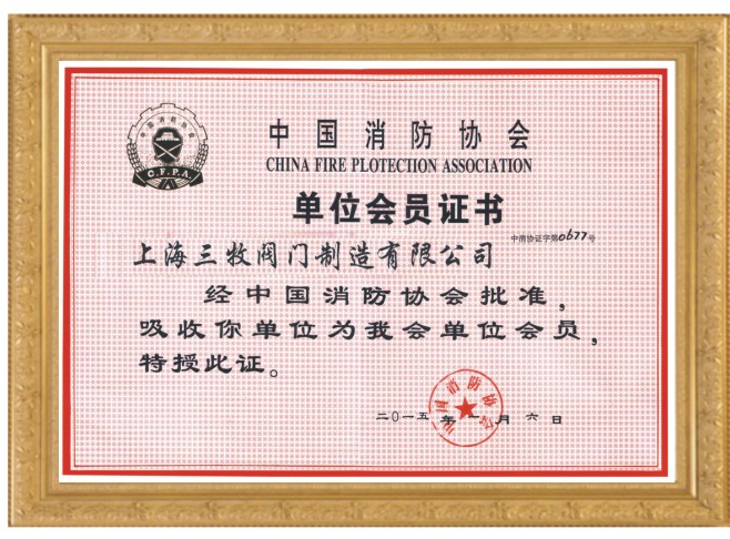 中国消防协会